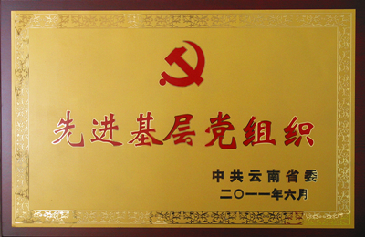 先进基层党组织_副本.jpg