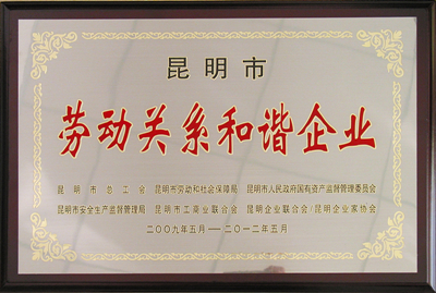 昆明市劳动关系毛和谐企业_副本.jpg