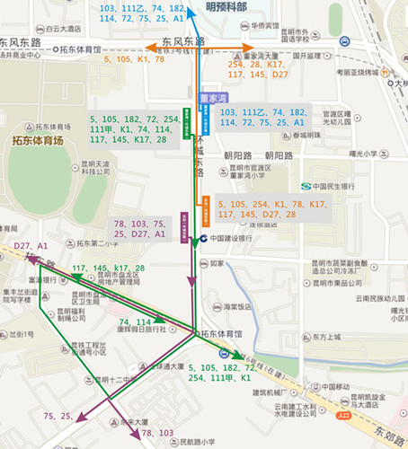56关于环城东路（东风东路—拓东路）路段公交线路分流停靠站点的通知_副本