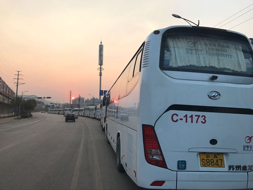 交通车队包车 摄影：张保坤