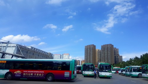 起航 二十车队 杨军 起航 二十车队 杨军