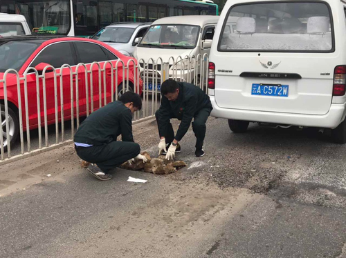 图片7