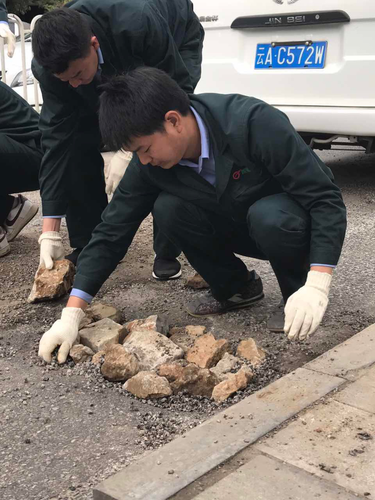 图片8