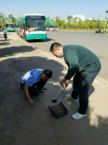 图片12