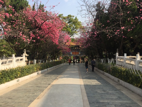 圆通山一景（张宏宇）