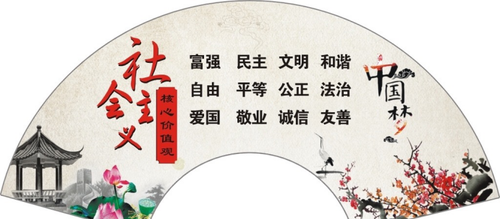 图片9