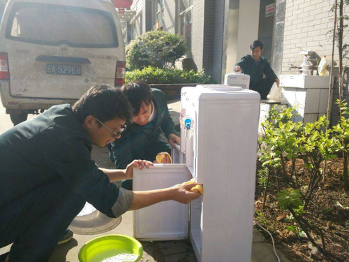 图片8