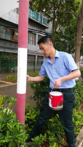 图片7