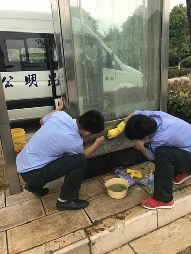 图片16