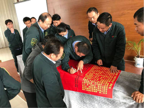 图片10