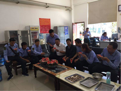 图片13