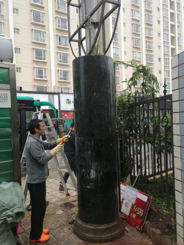 图片24 图片24