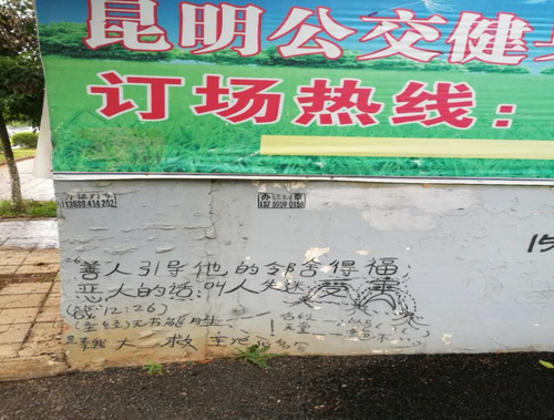 图片27 图片27