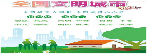 图片12