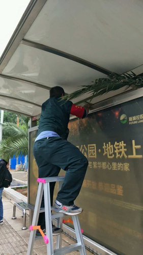 图片35