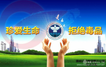 图片15
