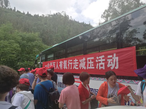 图片12 图片12
