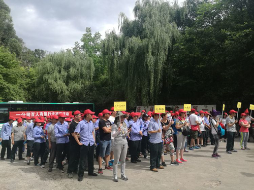 图片15 图片15