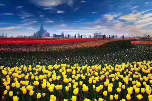 作者:李文忠《花花世界》 作者:李文忠《花花世界》