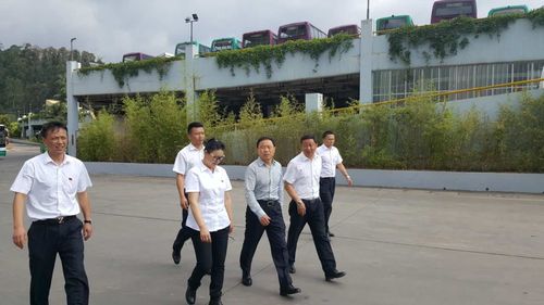 苗董6