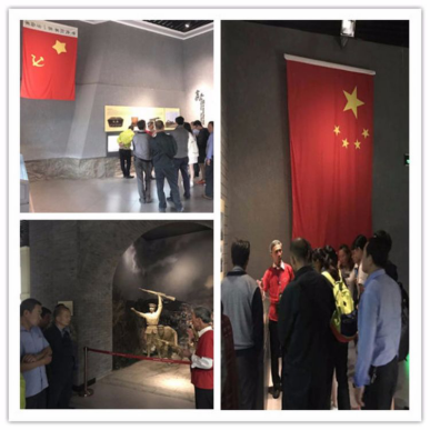 图片8