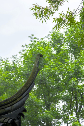 春雨后