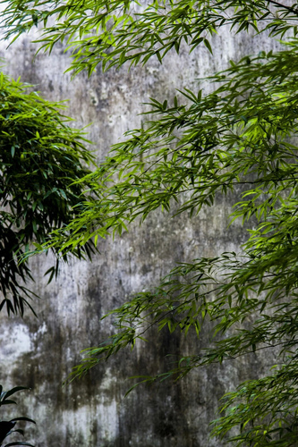 湿壁