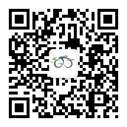 图片7
