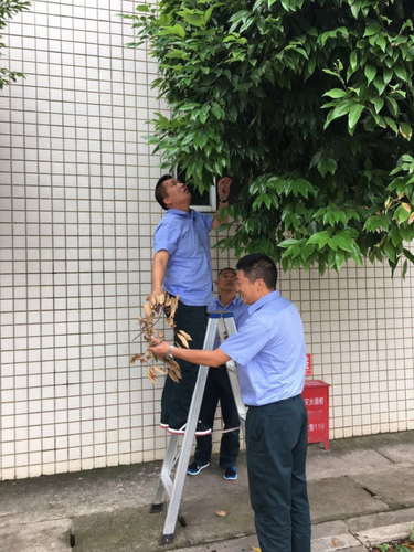 图片3 图片3