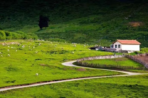 山间小路（王睿）