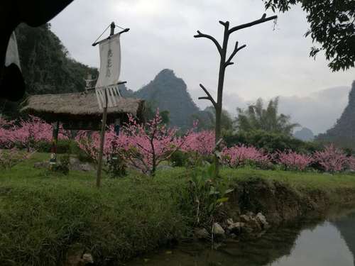 桃花岛   姚芳