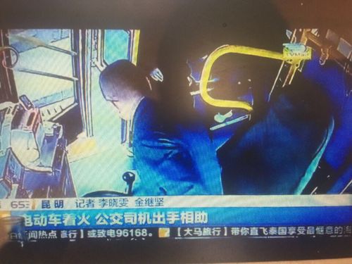 图十四