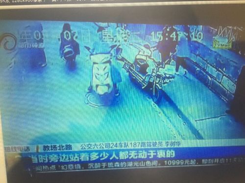 图十六