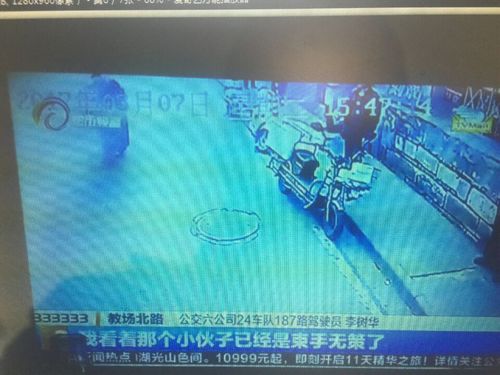 图十五
