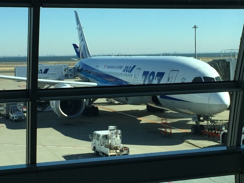 “全日空”飞机 普圣博 “全日空”飞机 普圣博