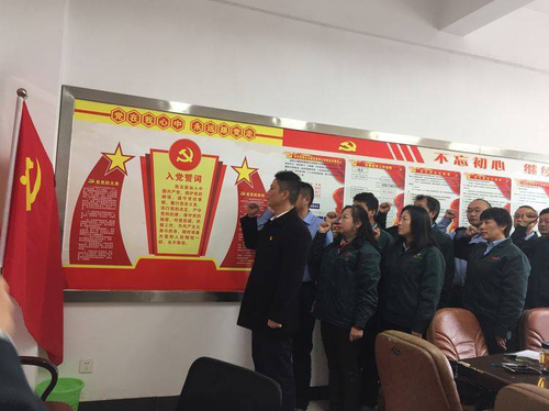 图片8