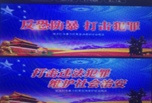 图片1