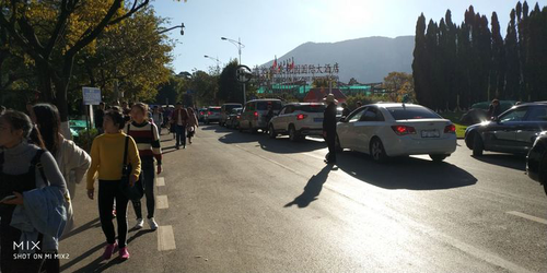 图片6