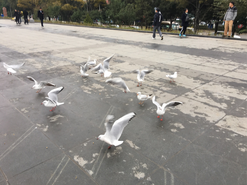 图片6