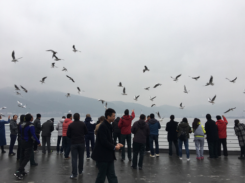 图片7