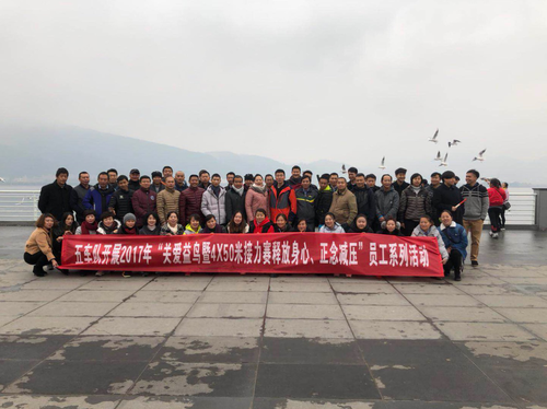 图片13