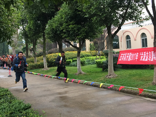 图片17