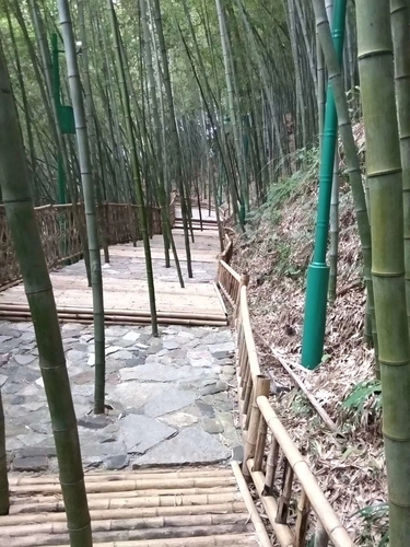 竹径小道 作者:马敏龙 竹径小道 作者:马敏龙