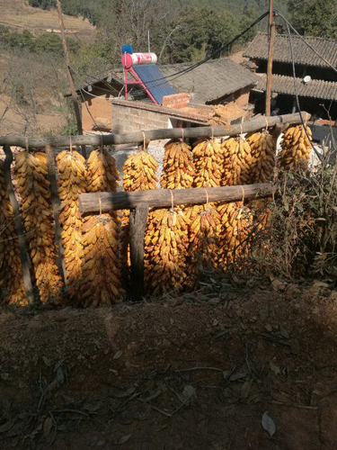 图片20