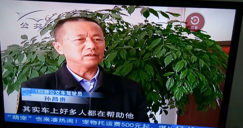 图片9