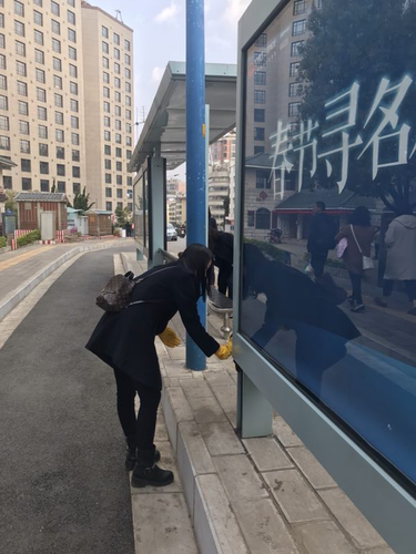 图片8