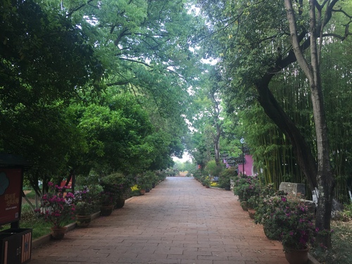 黑龙潭风景——1 黑龙潭风景——1