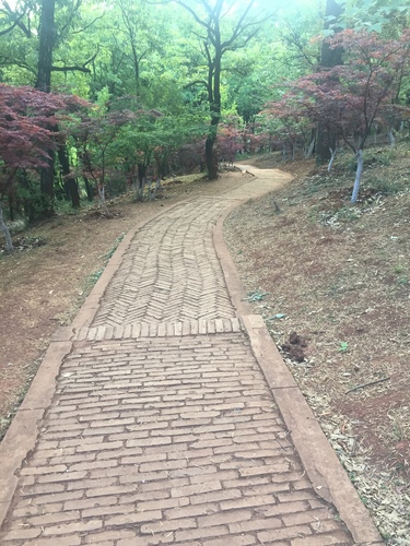 黑龙潭风景——3 黑龙潭风景——3