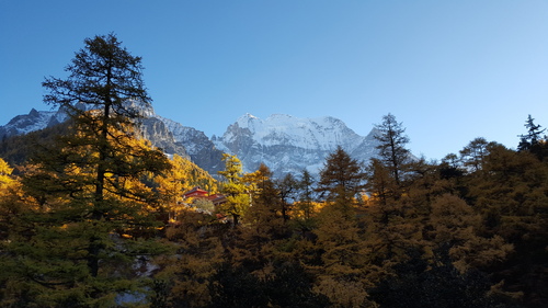 山中寺院