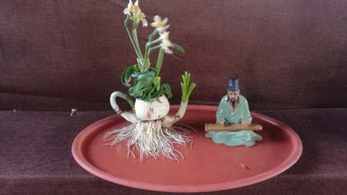 静坐修身 作者:马敏龙 静坐修身 作者:马敏龙